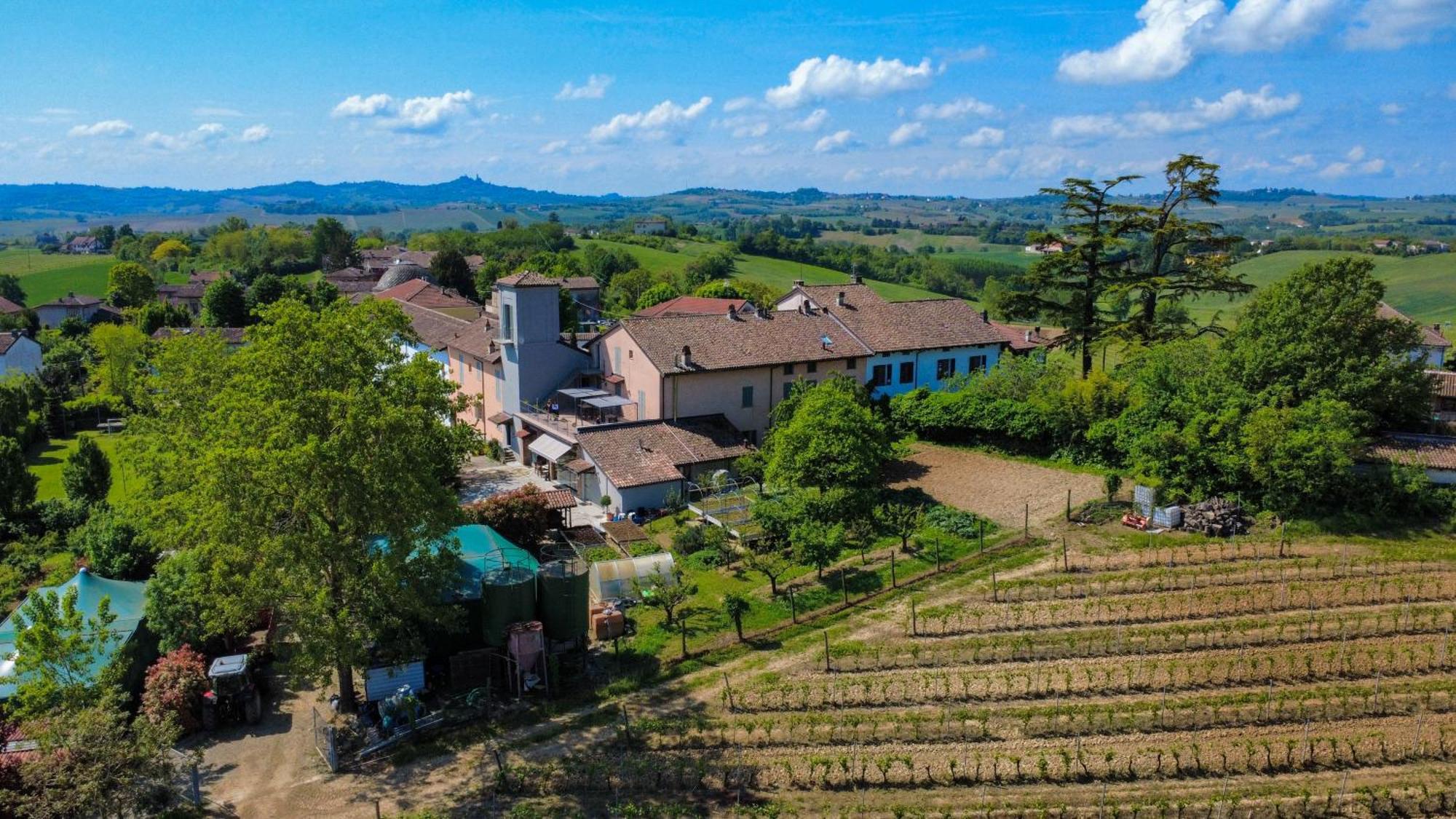 Le Tre Rose - Cantina Zanello Rosignano Monferrato